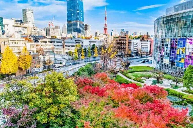 Private and Customisable Tokyo Tour with English Driver-guide - A short pause at Ueno Park