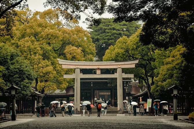 Private and Customisable Tokyo Tour with English Driver-guide - Odaiba and Tokyo Bay
