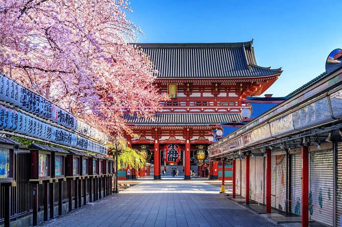 Private and Customisable Tokyo Tour with English Driver-guide - Shibuya Crossing and Takeshita Street