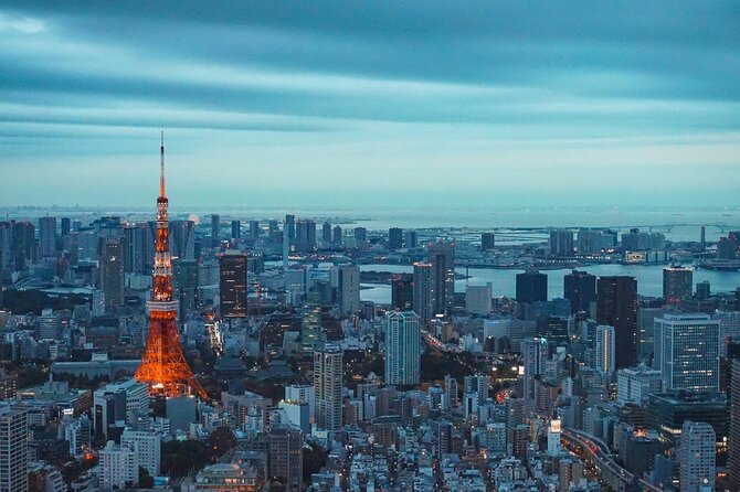 Private and Customisable Tokyo Tour with English Driver-guide - Senso-ji and the older side of Tokyo