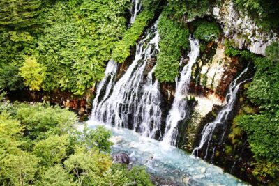 【Private Car】Asahiyama Zoo, Blue Pond, Shirahige Falls, Ningle Terrace (from Sapporo)