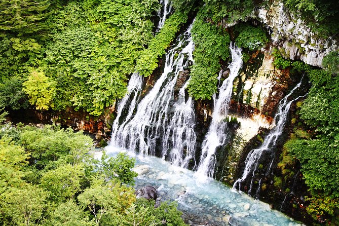 【Private Car】Asahiyama Zoo, Blue Pond, Shirahige Falls, Ningle Terrace (from Sapporo) - Shirahige Falls: the compact stop with big scenery