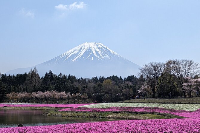Private Car Mt Fuji and Gotemba Outlet in One Day from Tokyo - Fuji World Heritage Center and the panoramic ropeway