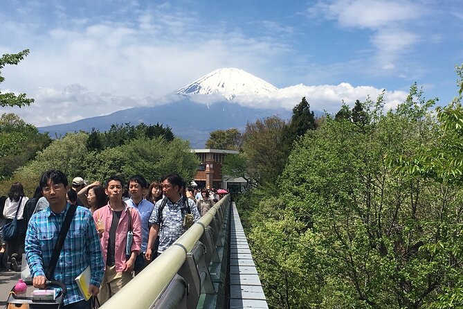 Private Car Mt Fuji and Gotemba Outlet in One Day from Tokyo - Gotemba Premium Outlets and the cost of convenience