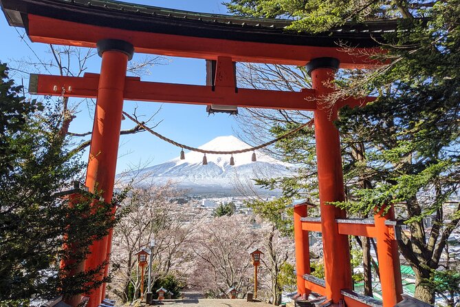 Private Car Mt Fuji and Gotemba Outlet in One Day from Tokyo - The longer options, from the 5th Station to Aokigahara