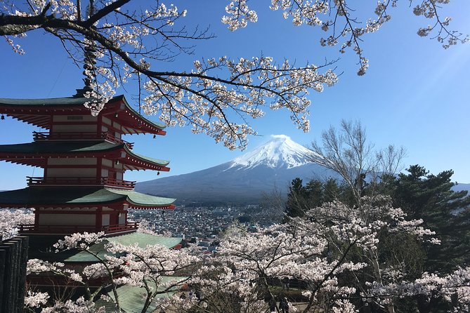 Private Car Mt Fuji and Gotemba Outlet in One Day from Tokyo - Weather, traffic, and the limits of a Fuji day