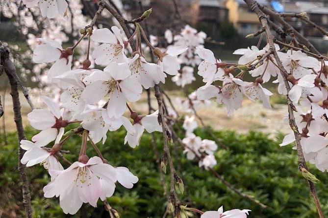 Private car tour in Kyoto (up to 4) - Why a private car makes sense in Kyoto