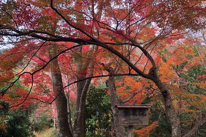 Private car tour in Kyoto (up to 4) - How much can you really see in seven hours?