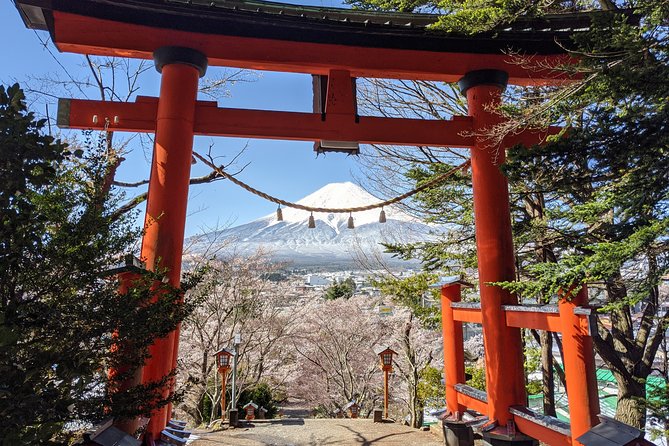 Private Car Tour to Mt. Fuji Lake Kawaguchiko or Hakone - Why a private car helps from Tokyo
