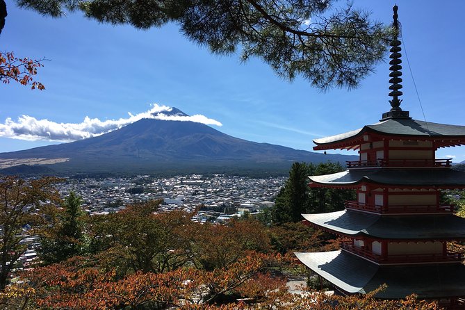 Private Car Tour to Mt. Fuji Lake Kawaguchiko or Hakone - Lake Kawaguchiko, Oishi Park, and seasonal color