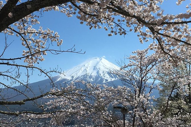 Private Car Tour to Mt. Fuji Lake Kawaguchiko or Hakone - Shrines, villages, and local traditions