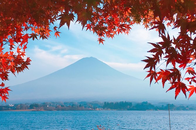 Private Car Tour to Mt. Fuji Lake Kawaguchiko or Hakone - Caves beneath the Aokigahara forest