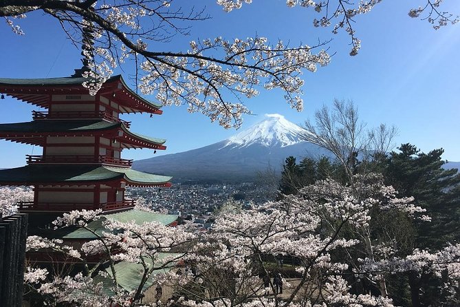 Private Car Tour to Mt. Fuji Lake Kawaguchiko or Hakone - Scenic add-ons around the Five Lakes