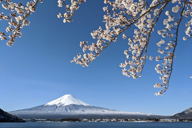Private Car Tour to Mt. Fuji Lake Kawaguchiko or Hakone - The classic Fuji opening: Arakura Sengen Shrine and Chureito Pagoda