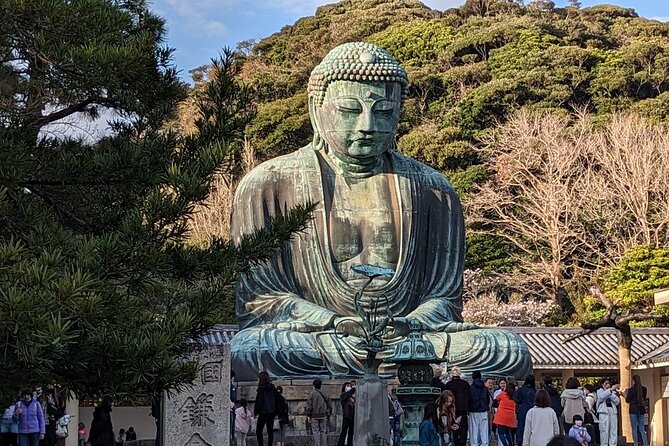 Private Car Tour to see Highlights of Kamakura, Enoshima, Yokohama from Tokyo - Bamboo, matcha, and temple quiet at Hokokuji