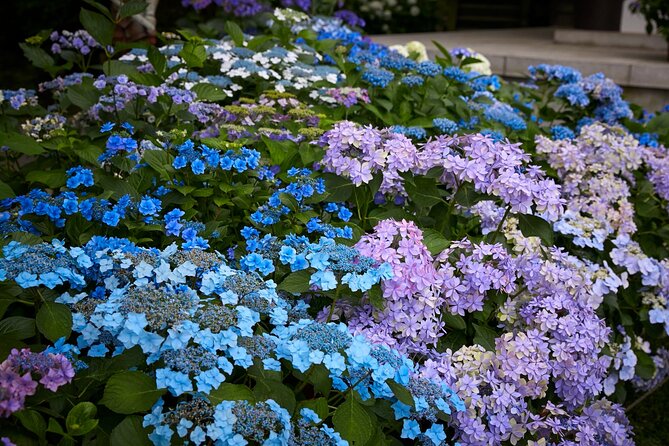 Private Car Tour to see Highlights of Kamakura, Enoshima, Yokohama from Tokyo - Hasedera, flowers, and the Kannon statue