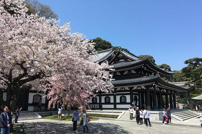 Private Car Tour to see Highlights of Kamakura, Enoshima, Yokohama from Tokyo - Choosing among Kamakura’s Zen temples