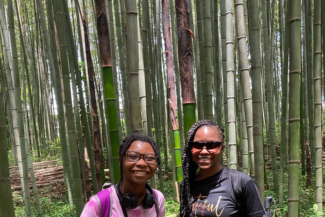 Private Custom Tour: Kyoto in One Day - Tenryu-ji and the Gardens of Arashiyama