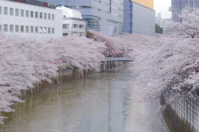 Private Custom Tour: Tokyo in a Day - Meiji Jingu and Harajuku make a natural contrast