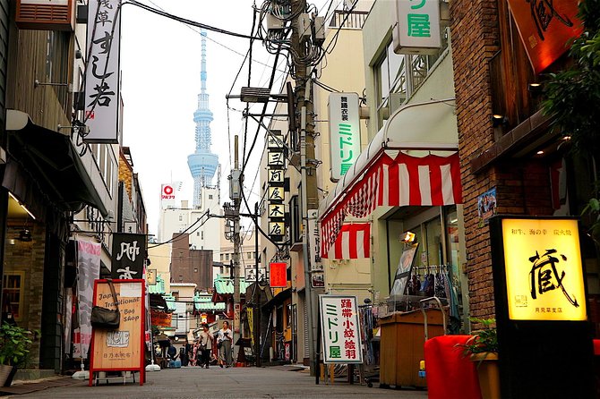 Private Customizable Walking Tour of Tokyo - Shinjuku for neon, towers, and a citywide view