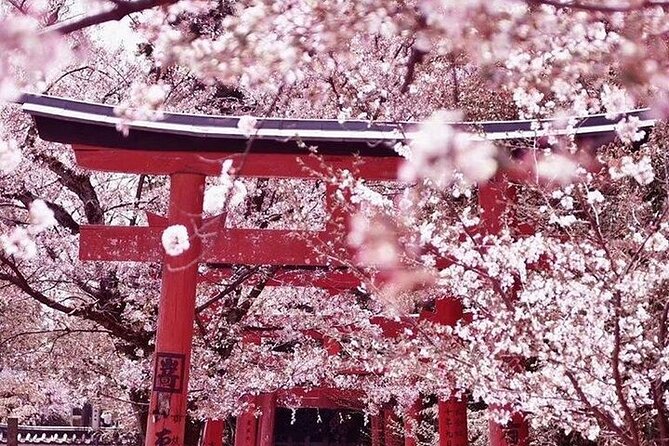 Private departure transfer from Kyoto city to Kansai International airport - Why the private option can be worth $109.01