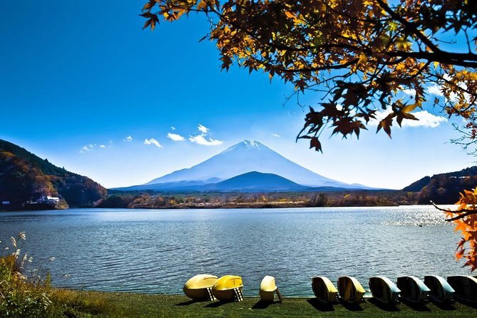 Private Fuji Hakone Tour Charter with English Speaking Driver - Why a private car helps on a Tokyo to Hakone day