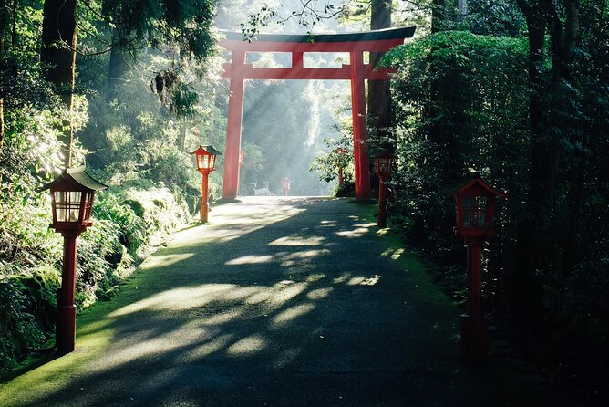 Private Fuji Hakone Tour Charter with English Speaking Driver - The $383.19 price: good value for the right group
