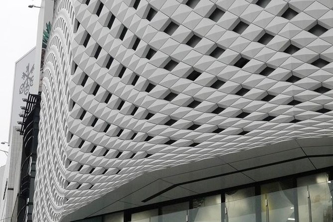 Private Ginza Architecture Walking Tour - Nicolas G. Hayek Center: commercial architecture with a purpose