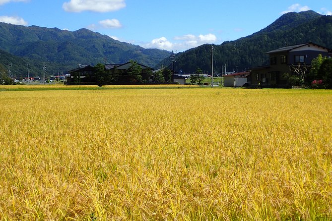 Private-group Morning Cycling Tour in Hida-Furukawa - Rain, timing, and practical planning