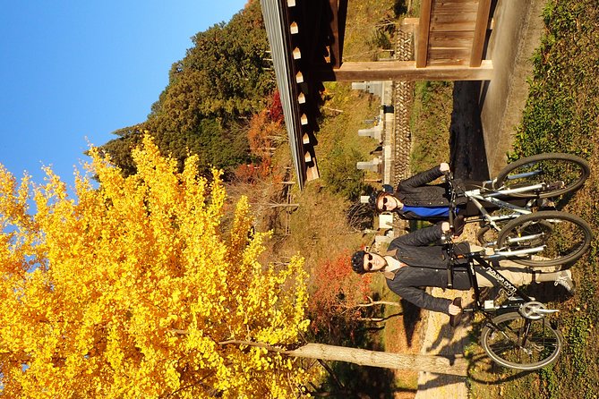 Private-group Morning Cycling Tour in Hida-Furukawa - Should you book this cycling tour?