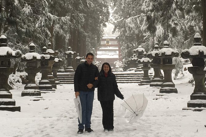 Private guided hidden gems tour by local English speaking driver - Quiet shrines with old trees and local meaning