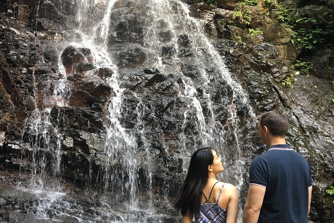 Private guided hidden gems tour by local English speaking driver - Aokigahara forest and the lava-cave option