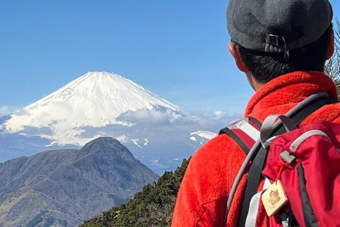 Private Hakone Half-day Car Tour with Hotel Pickup - Local Guide - Hakone Checkpoint and the Old Cedar Avenue