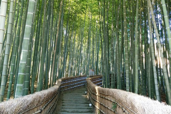 Private Highlights of Kyoto Tour - Key points at a glance