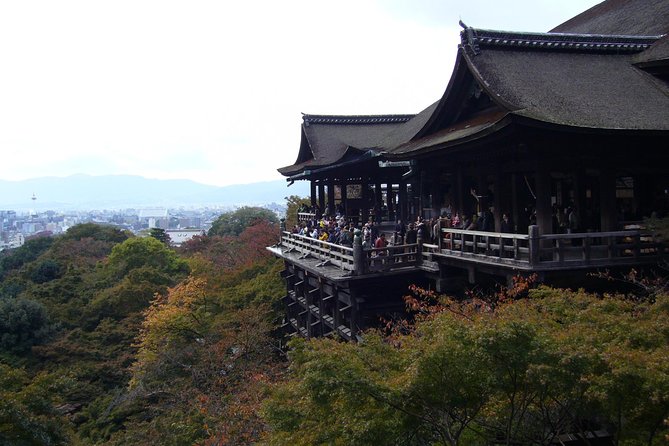 Private Highlights of Kyoto Tour - Who should book this Kyoto day?