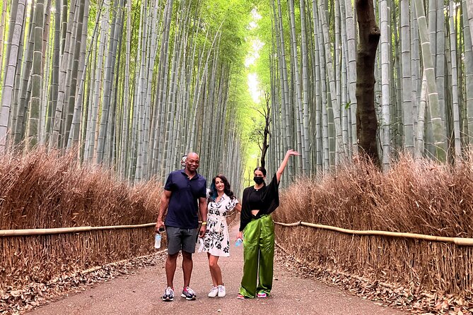 Private Kyoto Tour with Licensed Guide & Vehicle (Max 15 persons) - Kiyomizu-dera and the Higashiyama Hills