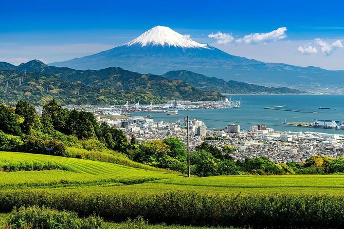 Private Mount Fuji Tour in Luxury Vehicle with English Guide - Oshino Hakkai and the question of tourist crowds