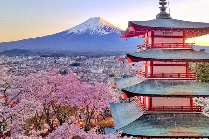 Private Mount Fuji Tour in Luxury Vehicle with English Guide - Oishi Park for lake, flowers, and Fuji together