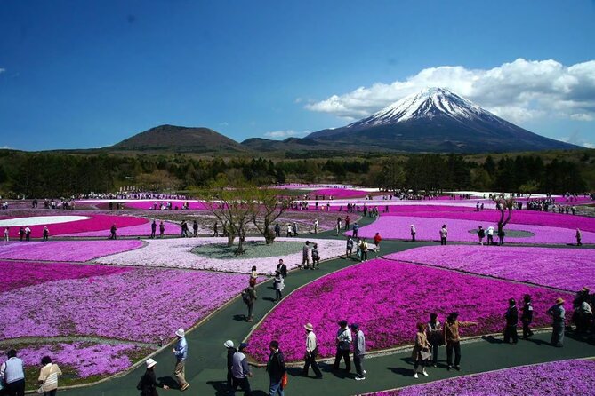 Private Mount Fuji Tour in Luxury Vehicle with English Guide - Mount Fuji Subaru Line 5th Station at 2,200 meters