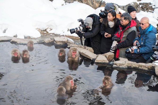 Private Nagano 1-Day Tour:Snow Monkeys,Zenko-ji,Obuse,Sake,Onsen - Obuse for lunch, sake, and chestnut treats
