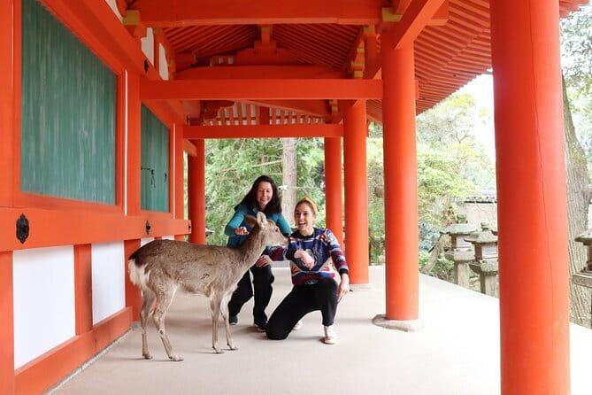 Private Nara Tour and Sake Tasting (Departing from Kyoto/Nara) - Key points at a glance
