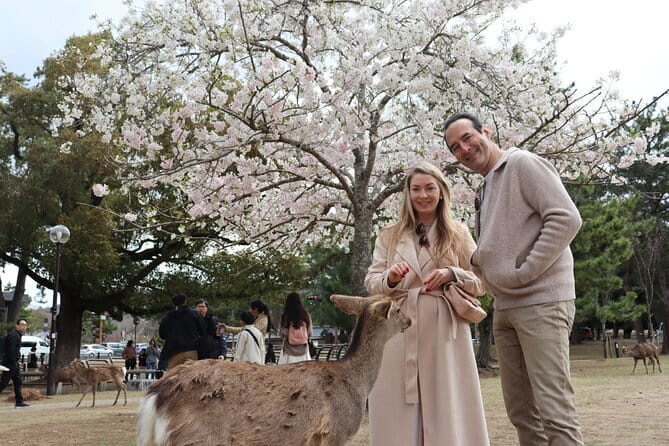 Private Nara Tour and Sake Tasting (Departing from Kyoto/Nara) - Kofuku-ji and the first look at Nara