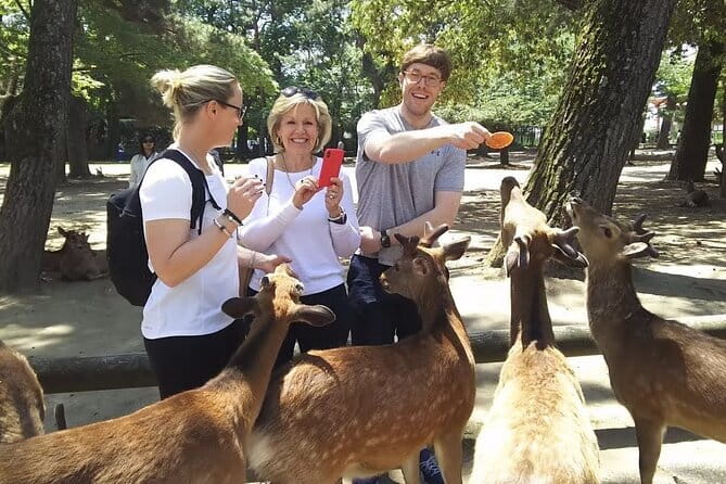 Private Nara Tour and Sake Tasting (Departing from Kyoto/Nara) - Nigatsu-do and Tamukeyama Hachimangu
