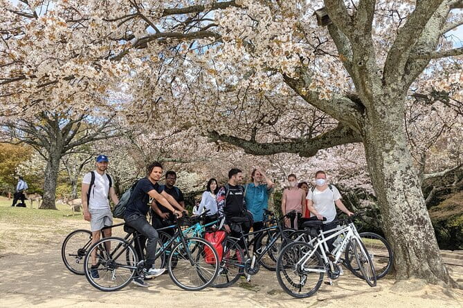 Private Nara Tour and Sake Tasting (Departing from Kyoto/Nara) - How much walking and time to expect