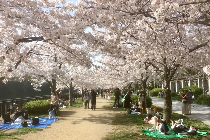 Private Osaka Tour with Hotel Meet Up - Key points at a glance