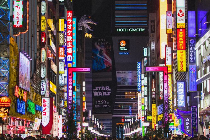 Private Shinjuku Nightlife Walking Tour & Golden-Gai Bar Crawl - The private format and the guide you get