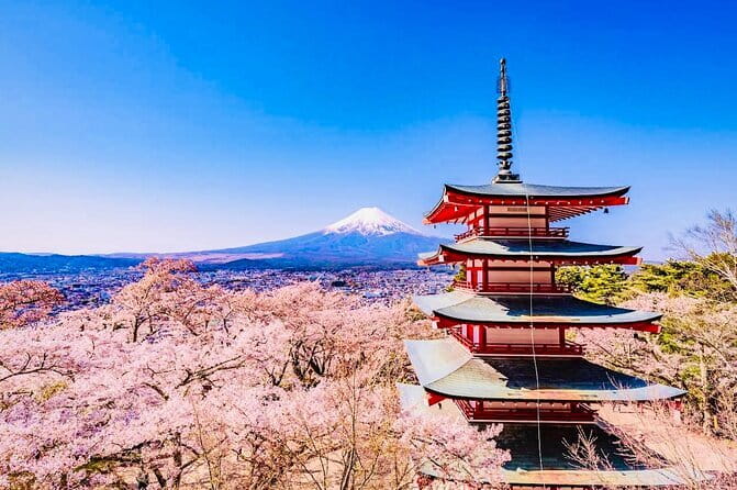 Private Sightseeing to Mt Fuji and Hakone with English Driver - At a glance: what makes this day special