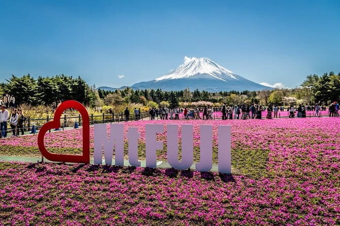 Private Sightseeing to Mt Fuji and Hakone with English Driver - How flexible is the English-driver service?