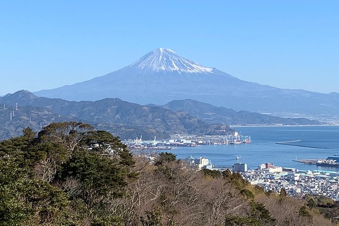 Private sightseeing tour from Shimizu Port / Van Taxi - Riding the Nihondaira Ropeway to Kunozan Toshogu