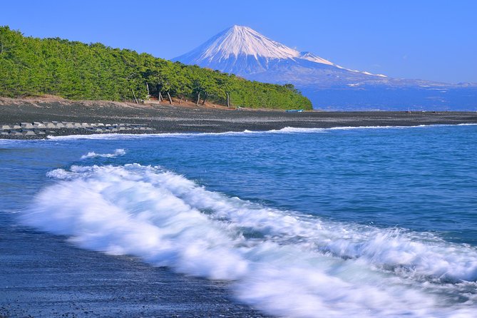 Private sightseeing tour from Shimizu Port / Van Taxi - Nihondaira’s observatory and wide Fuji views